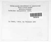Image Associated With the Occurence
